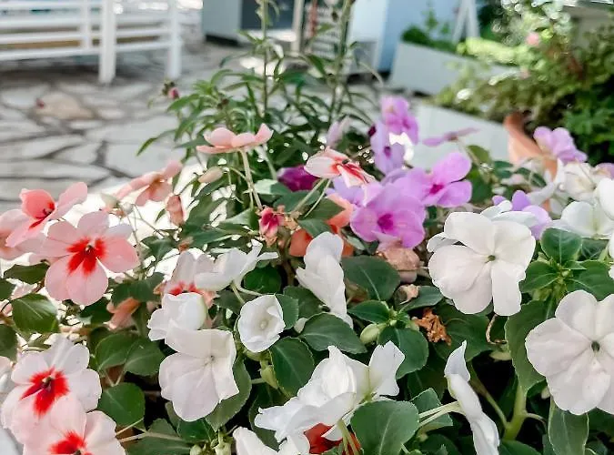 Hotel Avli Nydri (Lefkada)