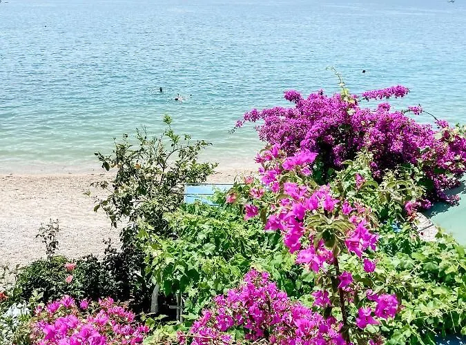 Ξενοδοχείο Avli